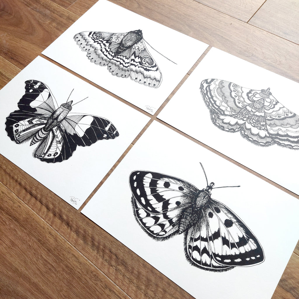 Butterfly Art Print, Furry Moth Art Print, Spotty Moth Art Print, Aztec Moth Art Print