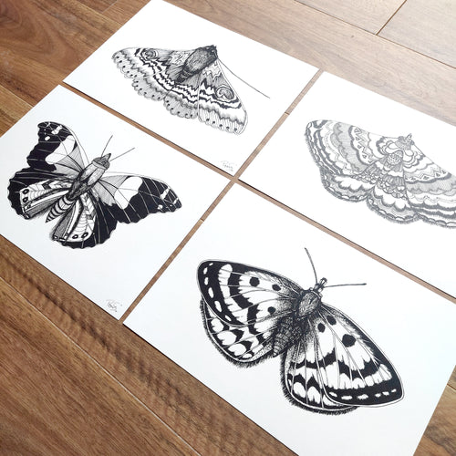 Butterfly Art Print, Furry Moth Art Print, Spotty Moth Art Print, Aztec Moth Art Print